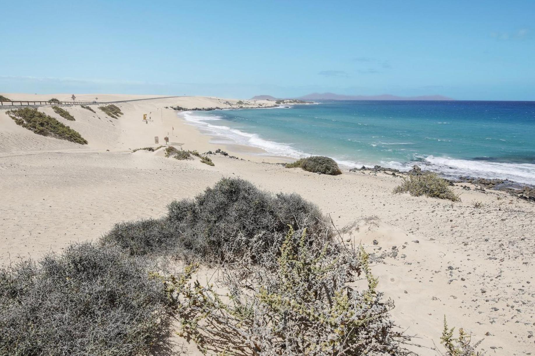 הוילה לה אוליבה El Cortijo מראה חיצוני תמונה